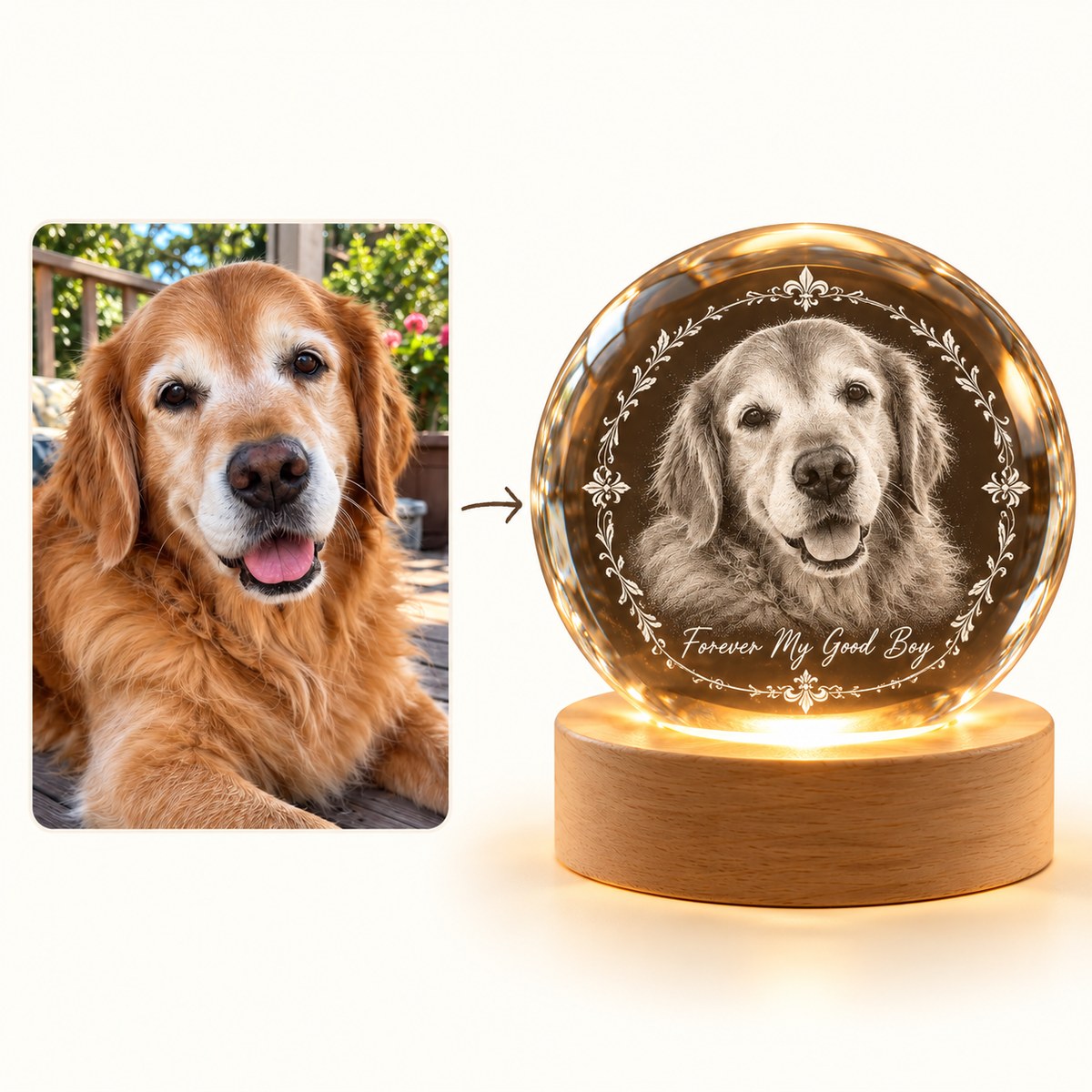 Custom Photo Pet Memorial Pencil Sketch - Personalized Crystal Globe Night Light — how it works