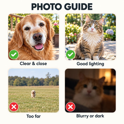 Custom Photo Pet Memorial Pencil Sketch - Personalized Crystal Globe Night Light — photo guide