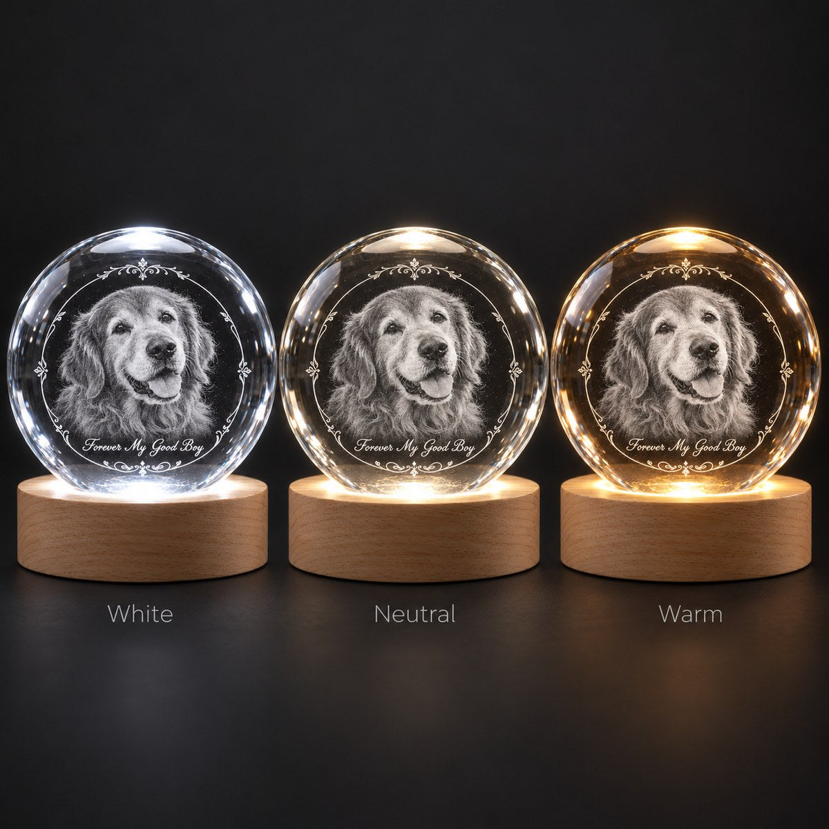 Custom Photo Pet Memorial Pencil Sketch - Personalized Crystal Globe Night Light — options