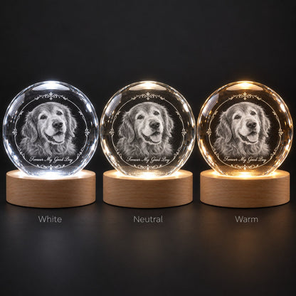 Custom Photo Pet Memorial Pencil Sketch - Personalized Crystal Globe Night Light — options