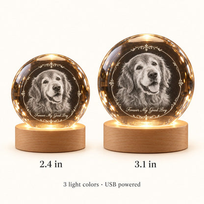 Custom Photo Pet Memorial Pencil Sketch - Personalized Crystal Globe Night Light — size