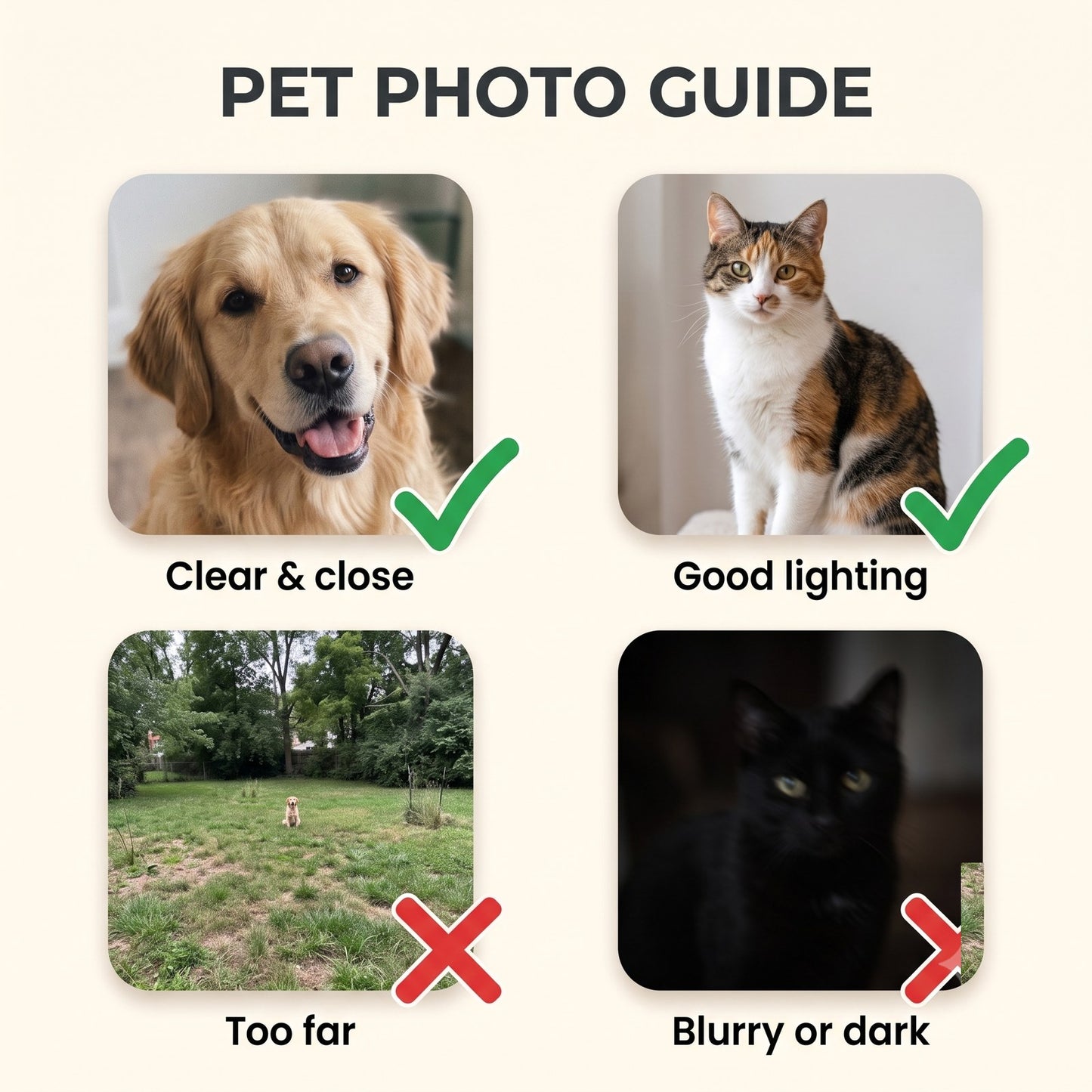 Pet photo guide: clear well-lit faces sketch best
