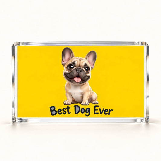 Custom Photo Caricature Portrait Acrylic Photo Plaque - Funny Pet Lover Gift Personalized Plaque Gift — hero