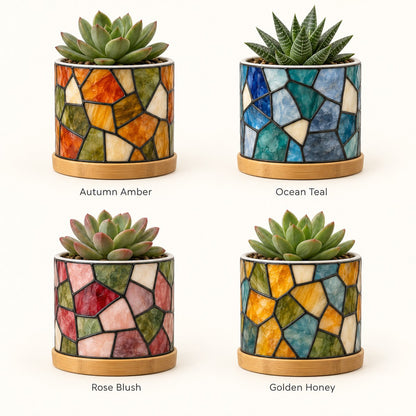 Four glass palettes: Autumn Amber, Ocean Teal, Rose Blush, Golden Honey