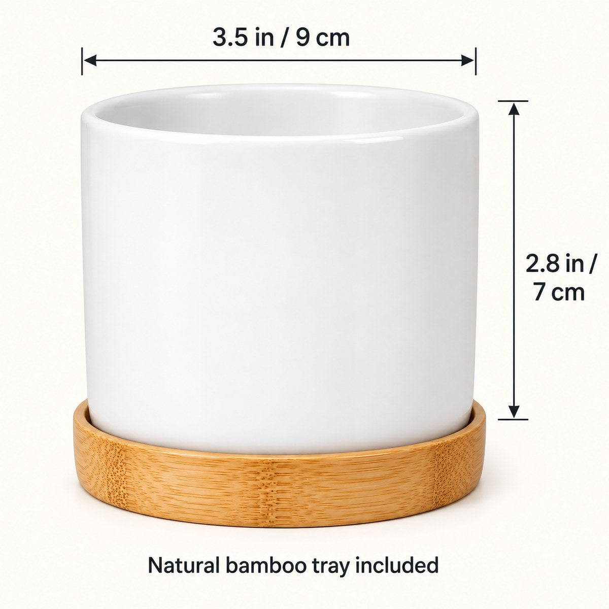 Size guide: 3.5 x 2.8 in pot with bamboo tray